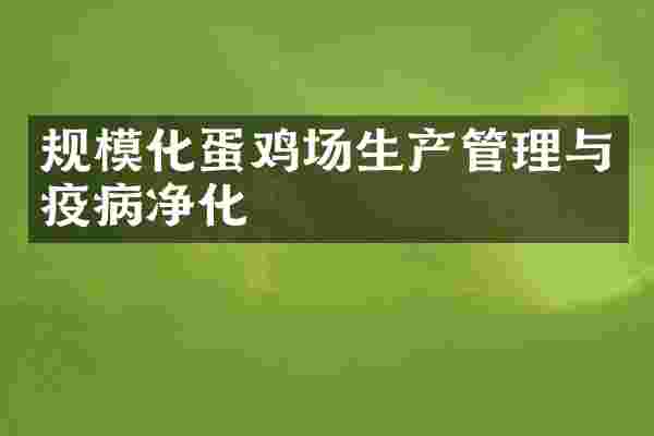 规模化蛋鸡场生产管理与疫病净化
