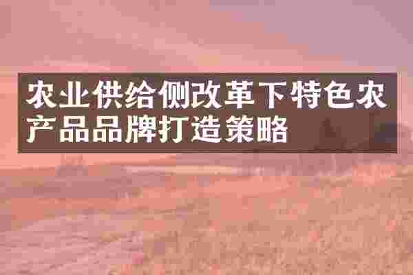 农业供给侧改革下特色农产品品牌打造策略