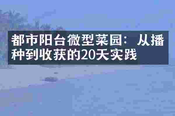 都市阳台微型菜园：从播种到收获的20天实践