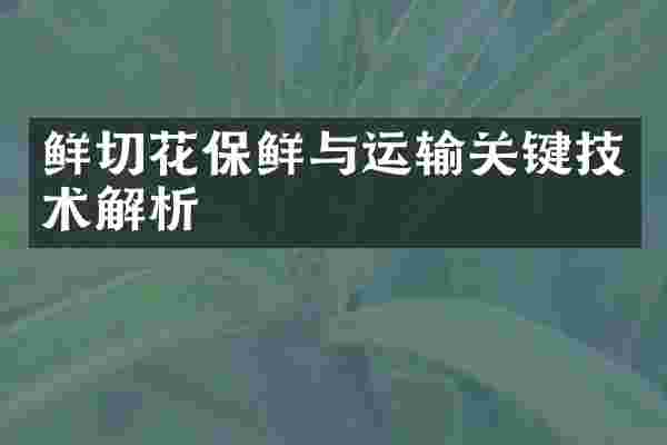 鲜切花保鲜与运输关键技术解析