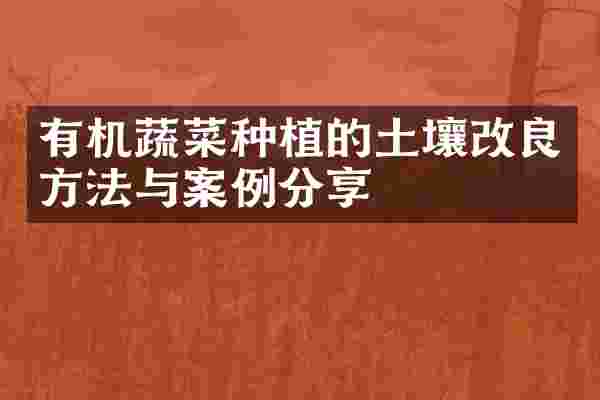 有机蔬菜种植的土壤改良方法与案例分享