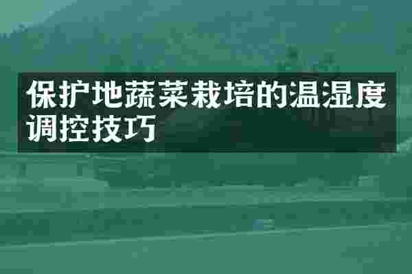 保护地蔬菜栽培的温湿度调控技巧
