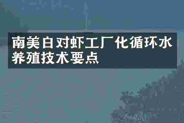 南美白对虾工厂化循环水养殖技术要点