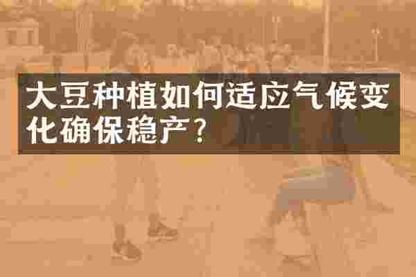 大豆种植如何适应气候变化确保稳产？
