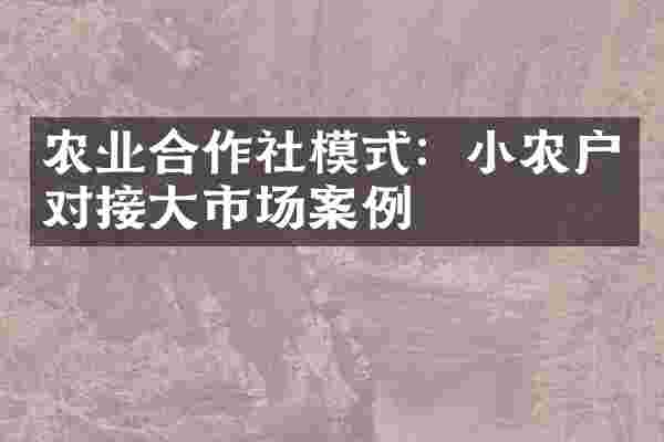 农业合作社模式：小农户对接大市场案例