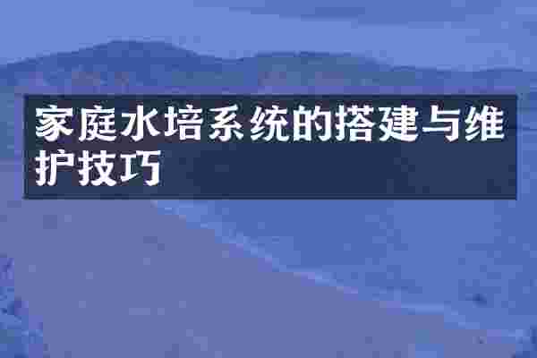家庭水培系统的搭建与维护技巧