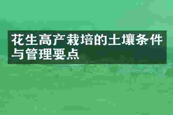 花生高产栽培的土壤条件与管理要点