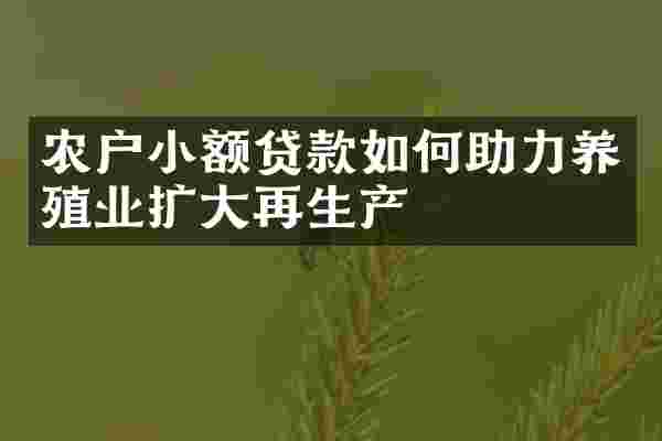 农户小额贷款如何助力养殖业扩大再生产