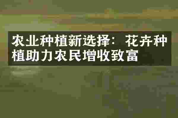 农业种植新选择：花卉种植助力农民增收致富
