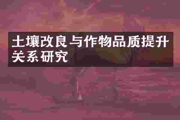 土壤改良与作物品质提升关系研究