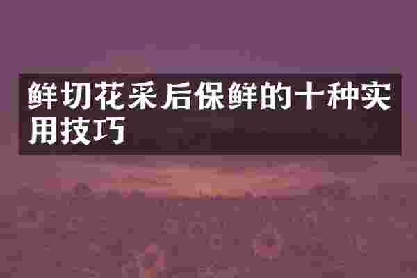 鲜切花采后保鲜的十种实用技巧