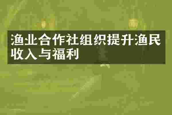 渔业合作社组织提升渔民收入与福利
