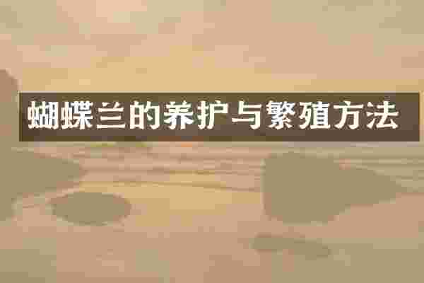 蝴蝶兰的养护与繁殖方法