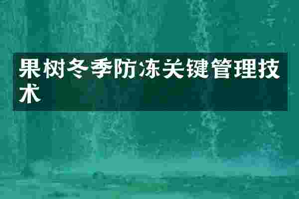 果树冬季防冻关键管理技术