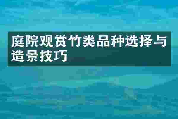 庭院观赏竹类品种选择与造景技巧
