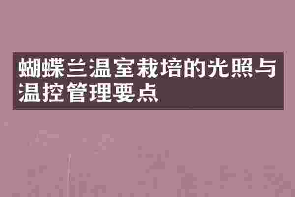 蝴蝶兰温室栽培的光照与温控管理要点