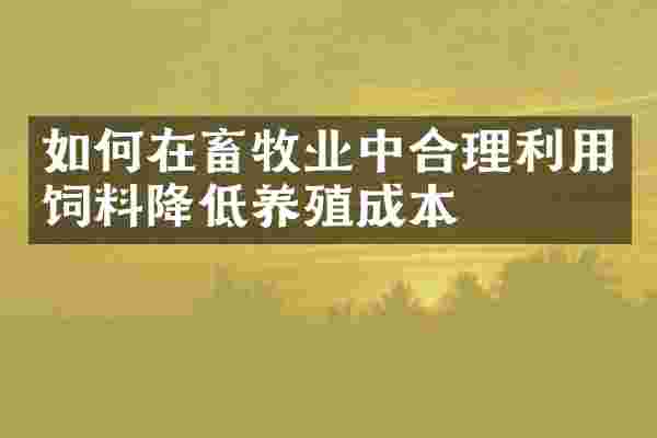 如何在畜牧业中合理利用饲料降低养殖成本
