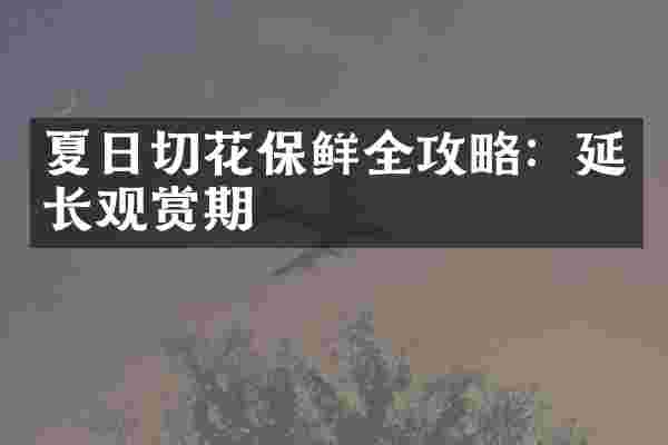 夏日切花保鲜全攻略：延长观赏期
