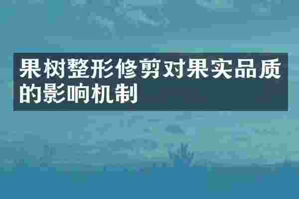 果树整形修剪对果实品质的影响机制