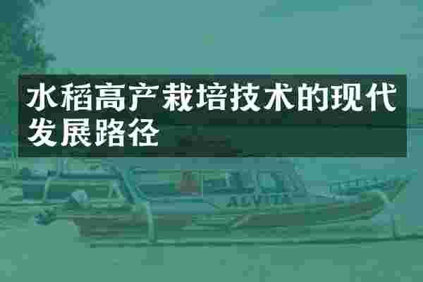 水稻高产栽培技术的现代发展路径