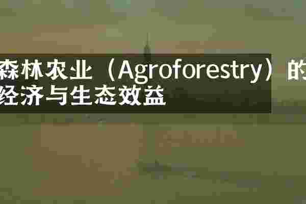 森林农业（Agroforestry）的经济与生态效益